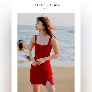 NWOT Petite Studio Tanya dress Size S